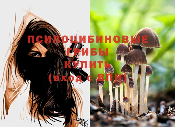 кокс Белокуриха