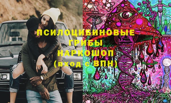 кокс Белокуриха