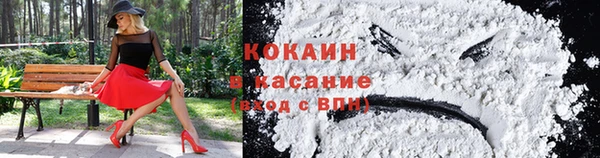 кокс Белокуриха