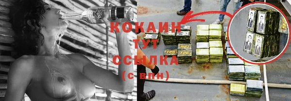 кокс Белокуриха