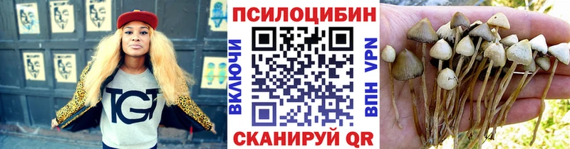 Псилоцибиновые грибы ЛСД  Светлогорск 